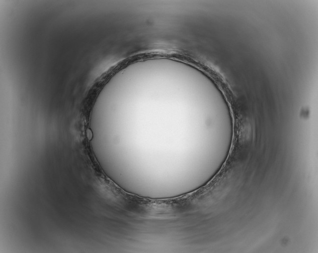 X0000103271448200809191731