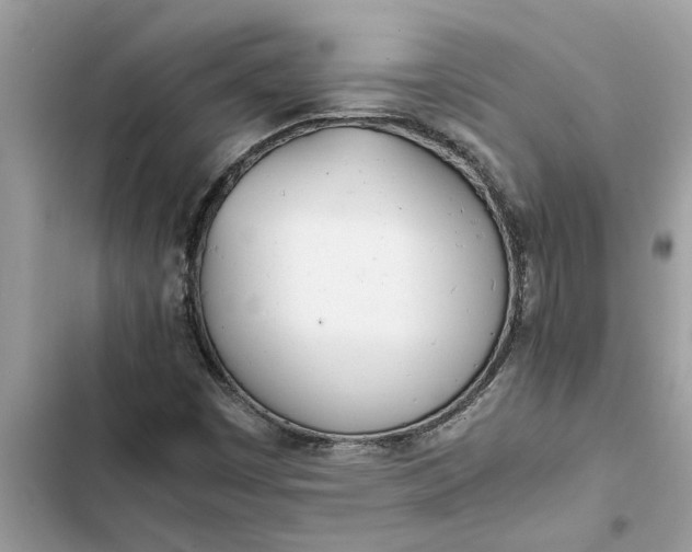 X0000103271449200809191731