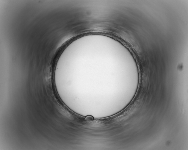 X0000103271450200809191731