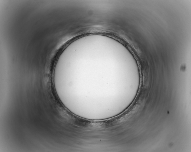 X0000103271453200809191731