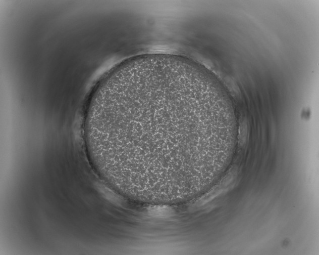 X0000103271454200809191731