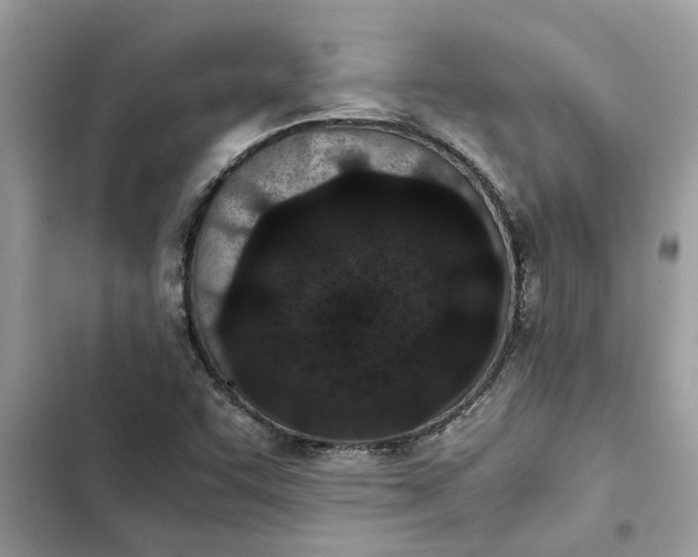 X0000103271455200809191731