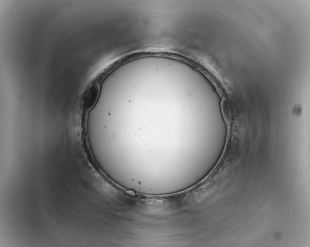 X0000103271456200809191731