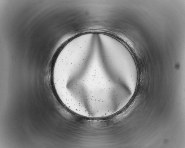 X0000103271458200809191731