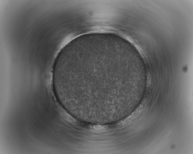X0000103271459200809191731