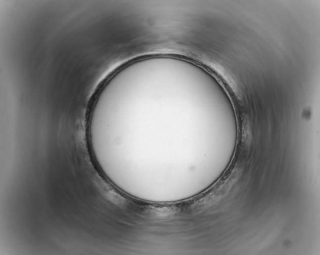 X0000103271460200809191731