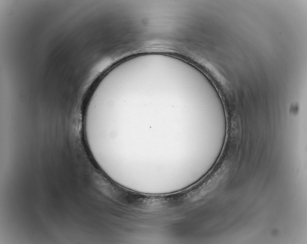 X0000103271461200809191731