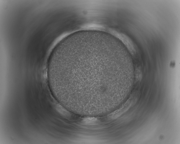 X0000103271462200809191731