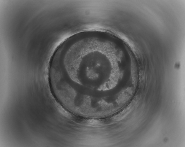 X0000103271463200809191731