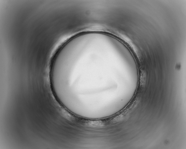 X0000103271464200809191731