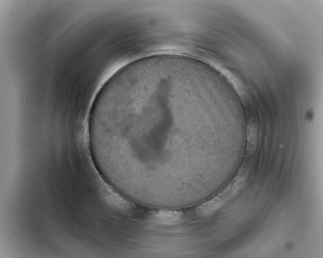 X0000103271466200809191731