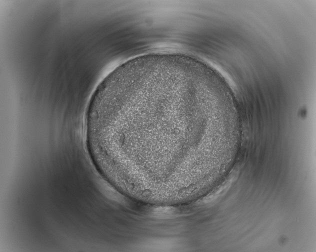 X0000103271467200809191731