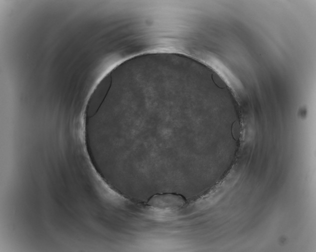 X0000103271468200809191731