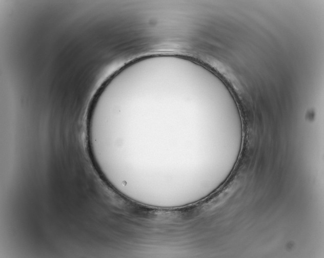 X0000103271469200809191731