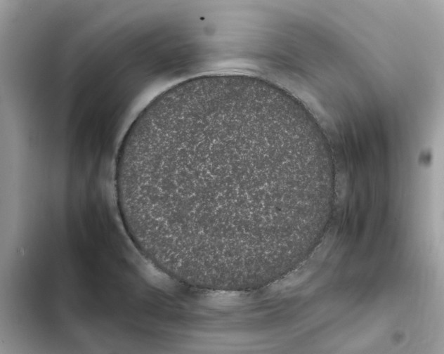X0000103271470200809191731