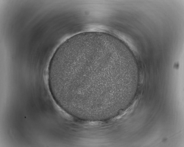 X0000103271471200809191731
