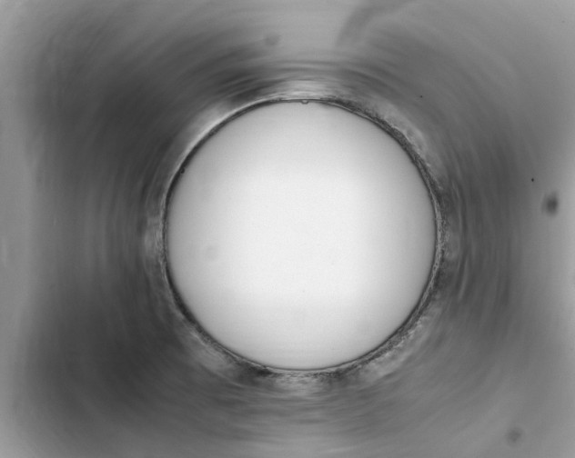 X0000103271473200809191731
