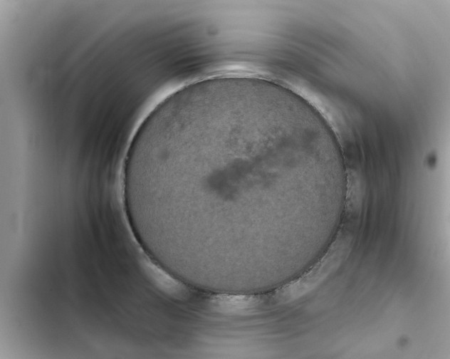 X0000103271474200809191731