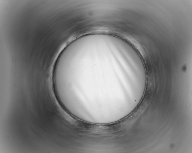 X0000103271475200809191731