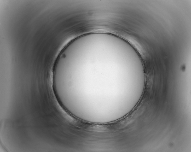 X0000103271476200809191731