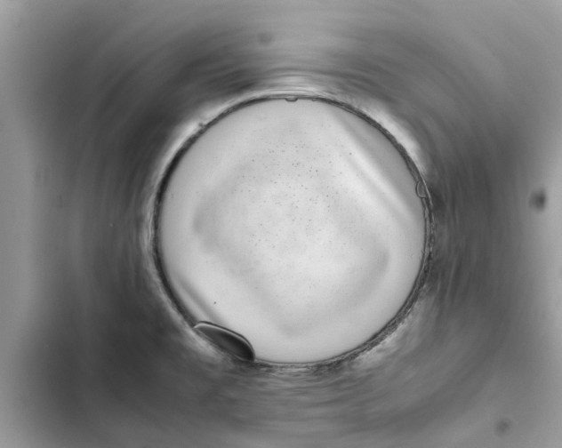 X0000103271477200809191731