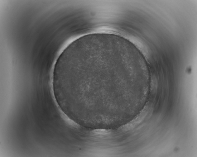 X0000103271478200809191731