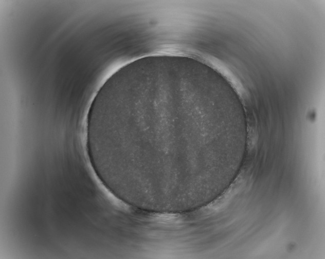 X0000103271479200809191731