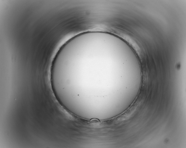 X0000103271480200809191730