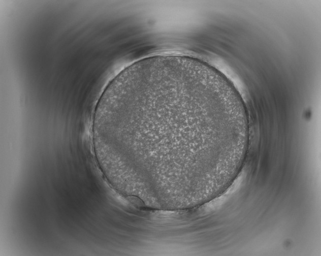 X0000103271481200809191730