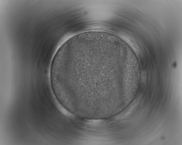 X0000103271482200809191730
