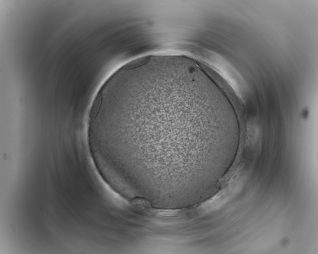 X0000103271484200809191730