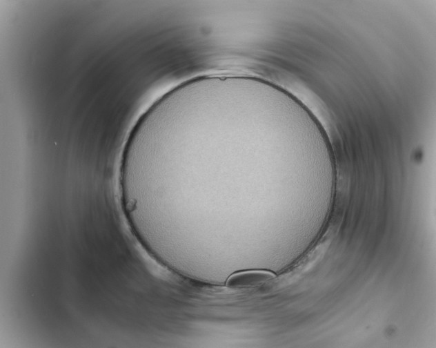 X0000103271485200809191730