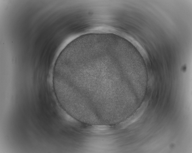 X0000103271486200809191730