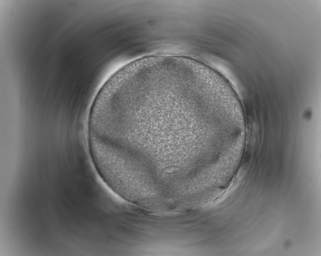 X0000103271487200809191730