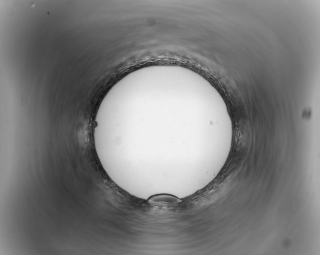 X0000103271490200809191730