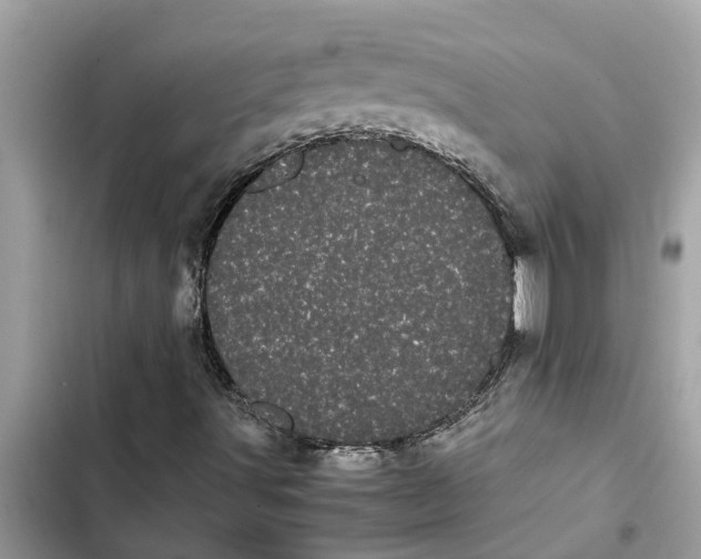 X0000103271491200809191730