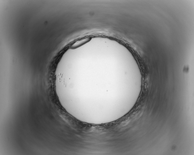X0000103271496200809191730