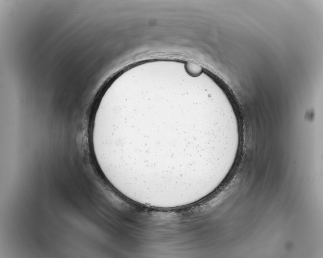 X0000103271498200809191730