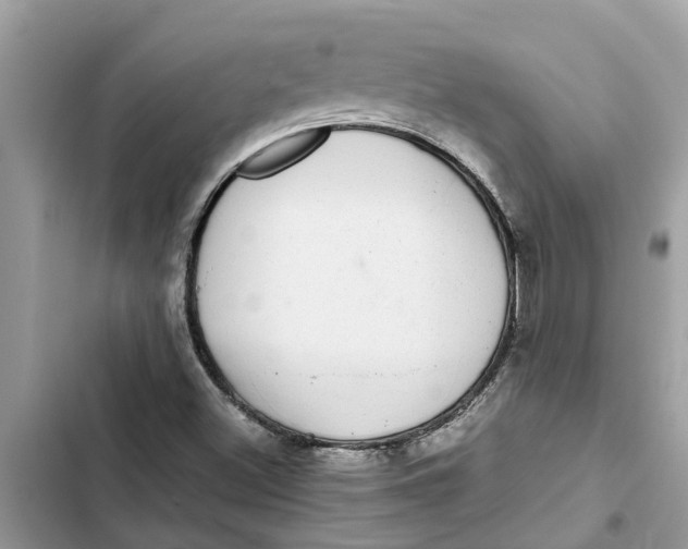 X0000103271500200809191730