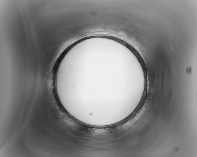 X0000103271501200809191730