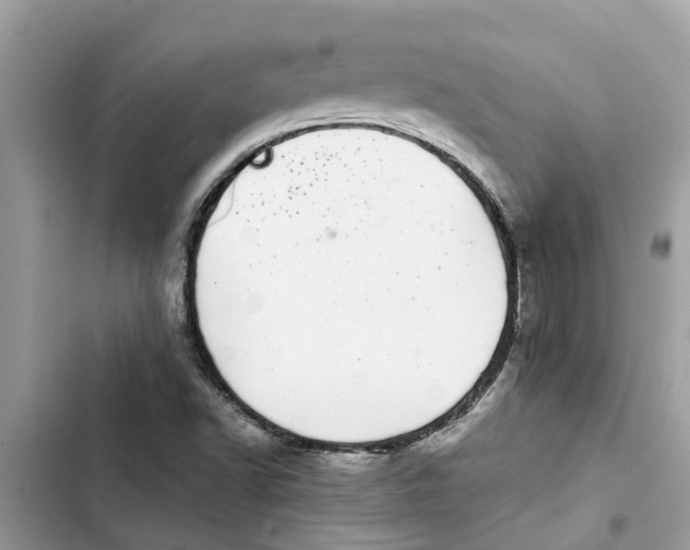 X0000103271502200809191730
