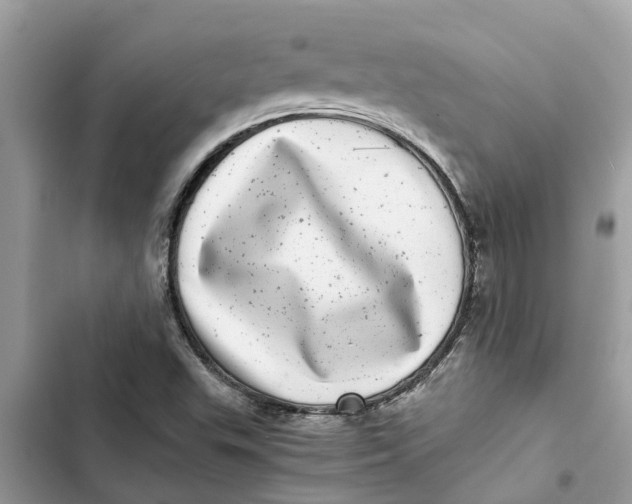 X0000103271503200809191730