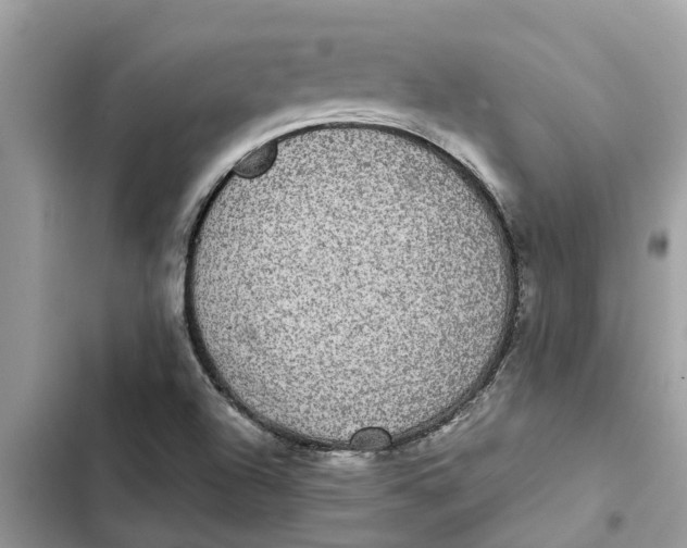 X0000103271504200809191730