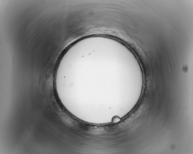X0000103271505200809191730