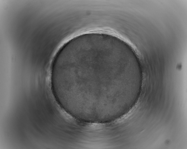 X0000103271506200809191730
