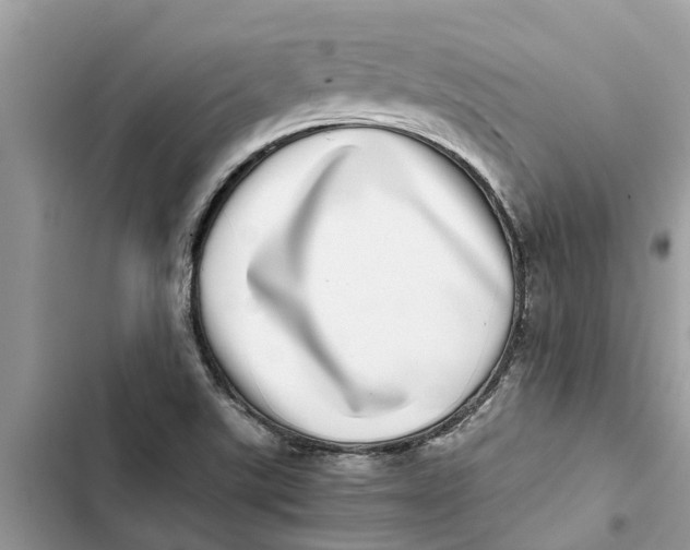 X0000103271507200809191730