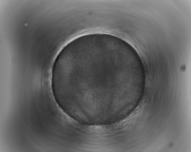 X0000103271508200809191730