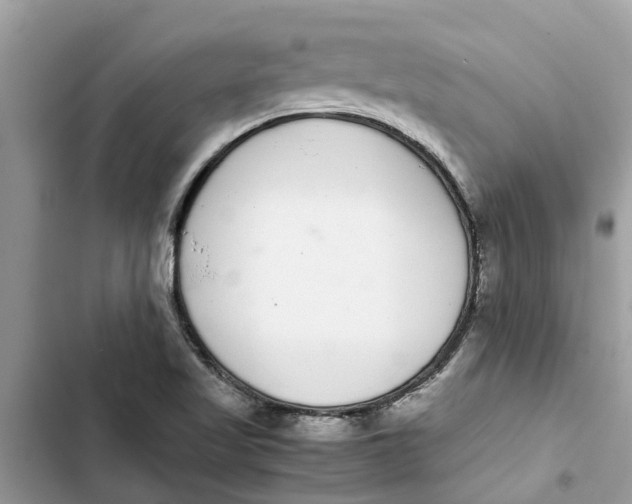 X0000103271509200809191730