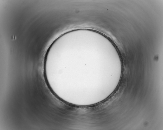 X0000103271512200809191730