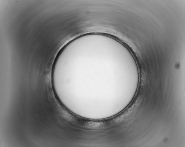 X0000103271513200809191730